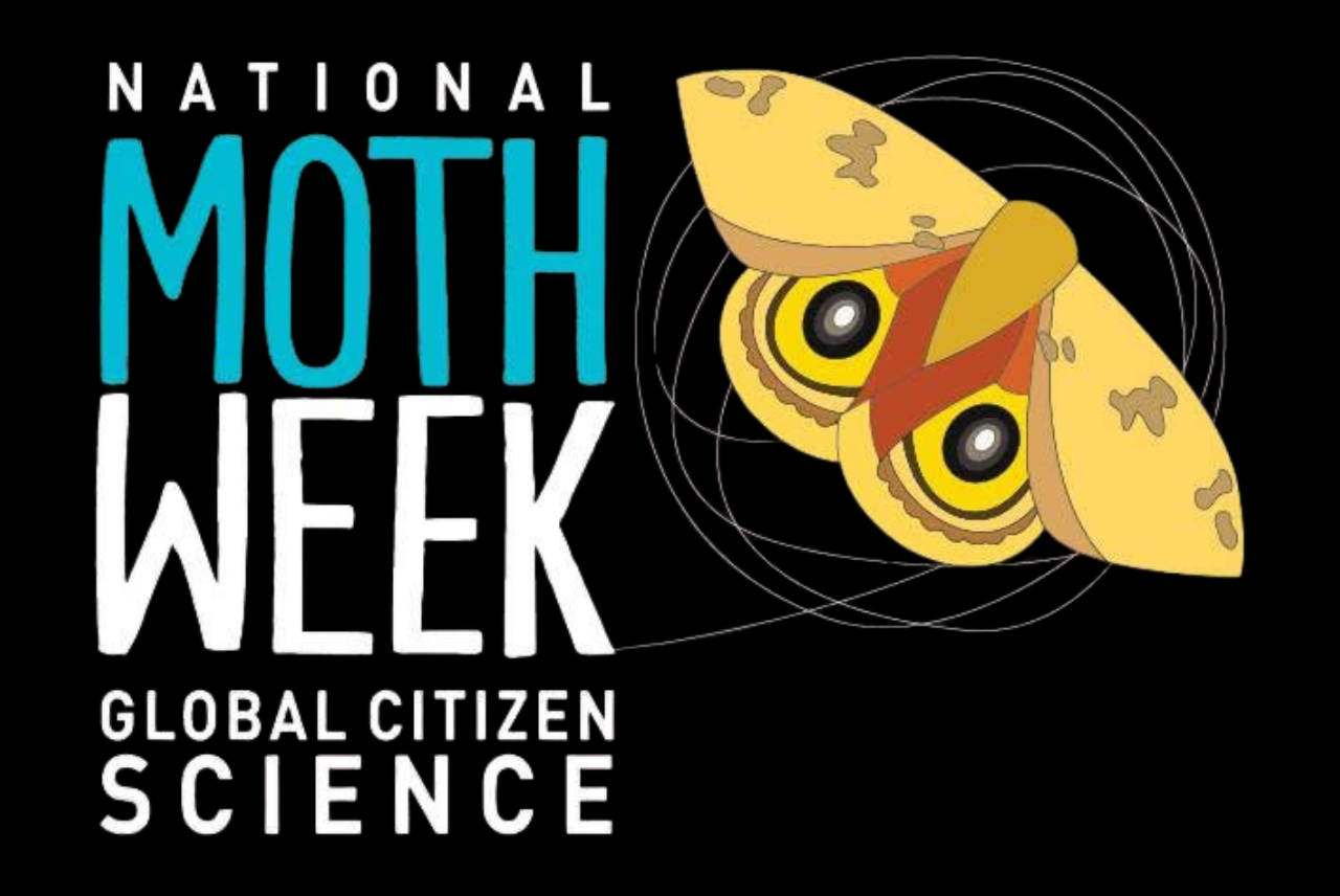 National Moth Week