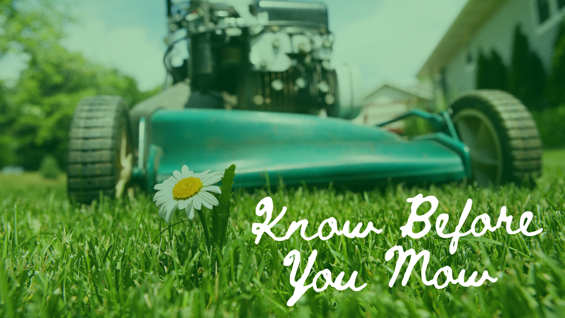 Know before you mow