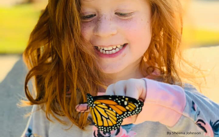 Young girl admires monarch butterfly.
