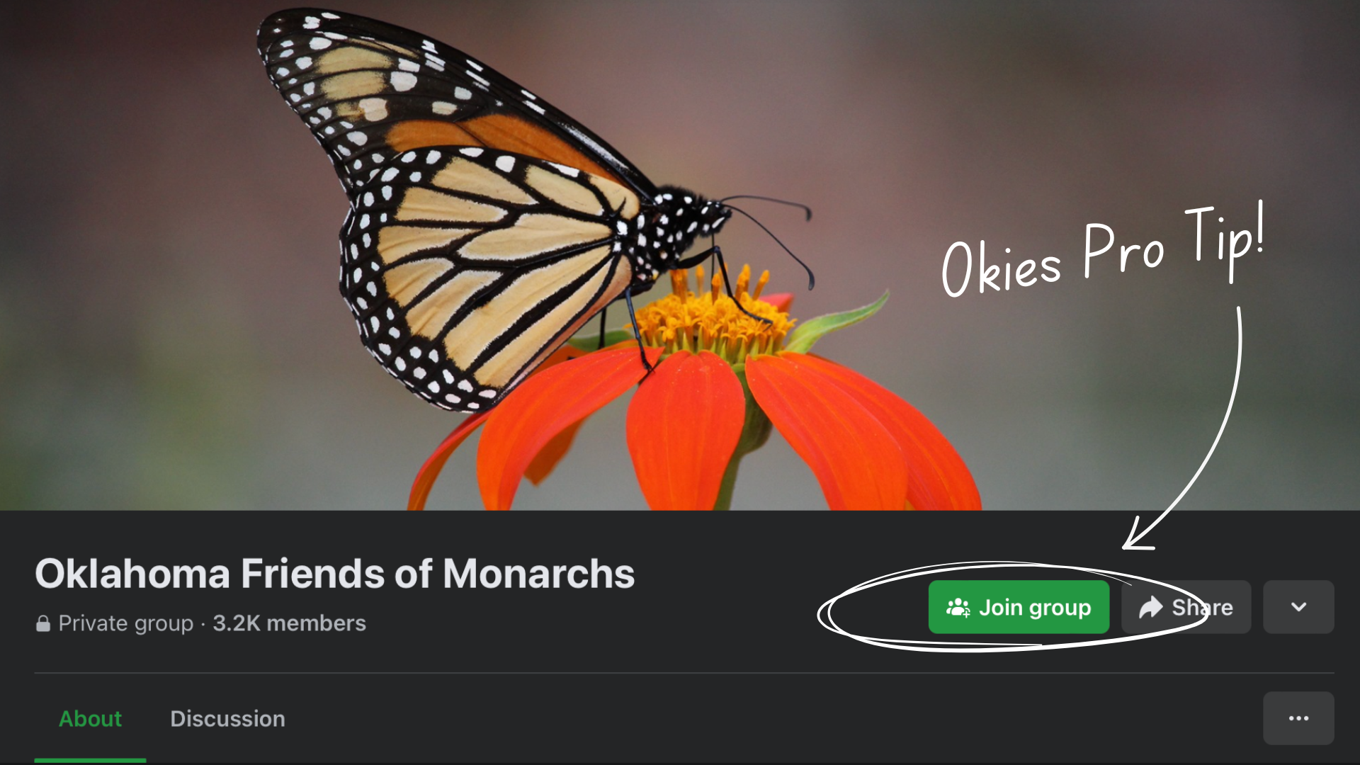 Oklahoma Friends of Monarchs