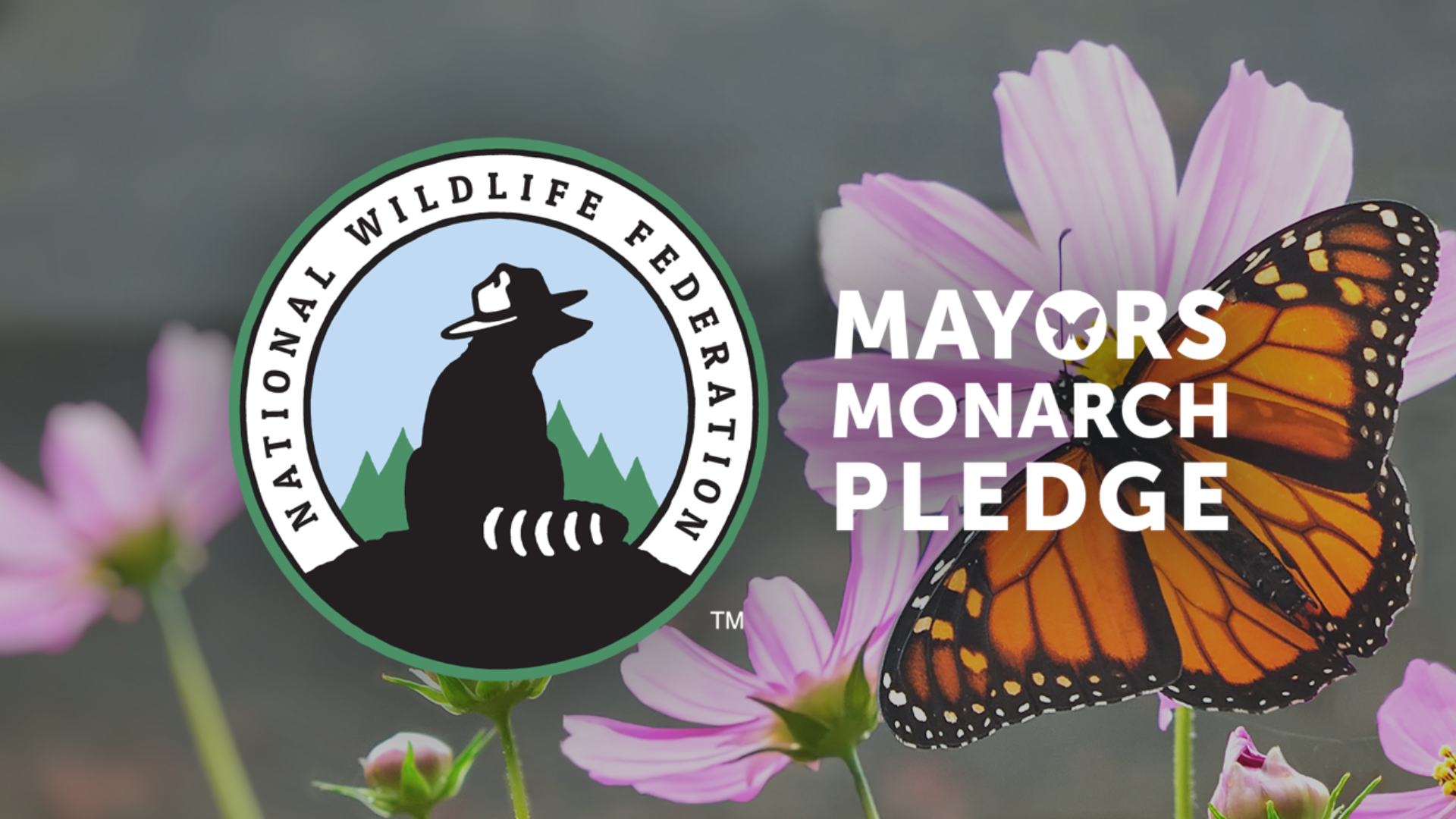 Mayors Monarch Pledge - NWF Logo