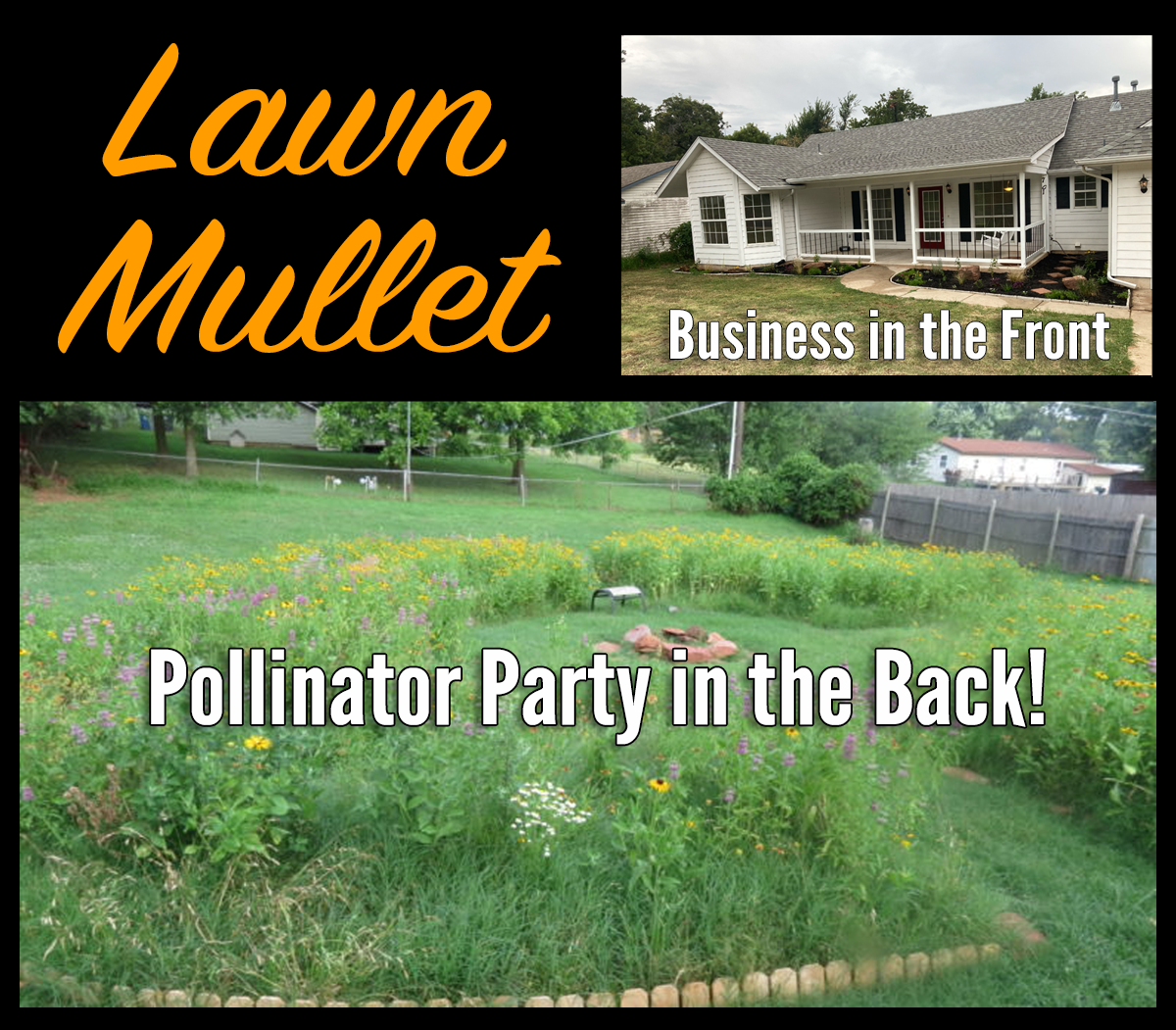 Lawn Mullet: business in the front, pollinator party in the back