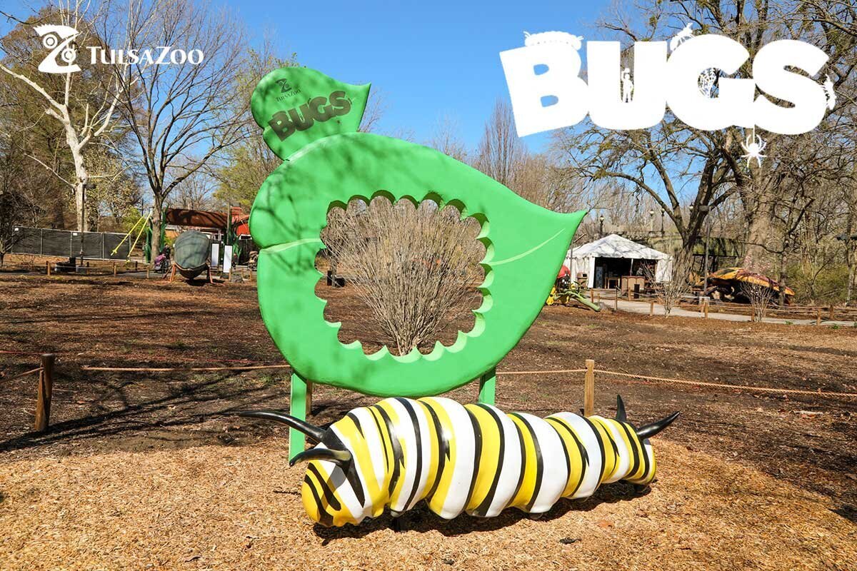Tulsa Zoo Bugs Exhibit