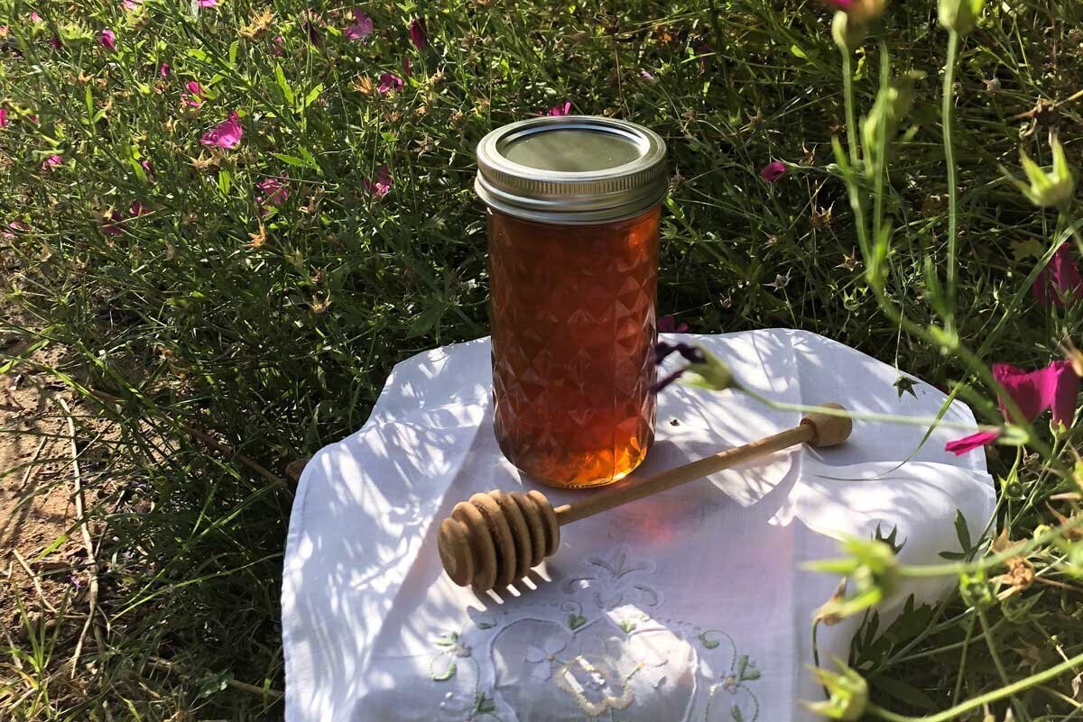 Urban Honey Tasting