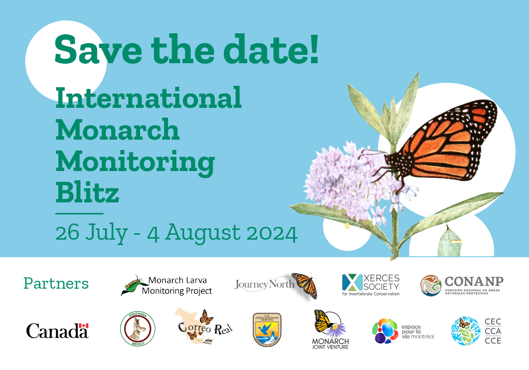 International Monarch Monitoring Blitz