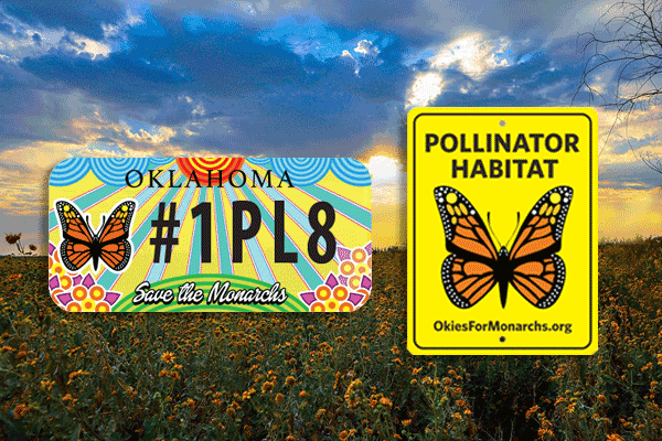 Gifts for pollinator fans!
