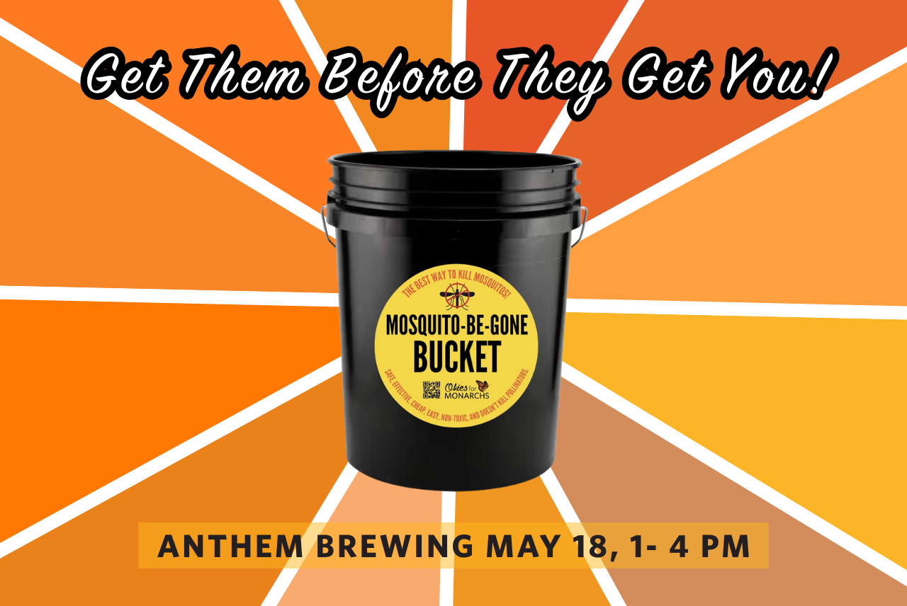 Mosquito-Be-Gone Bucket