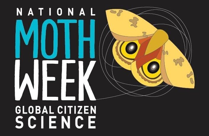National Moth Week