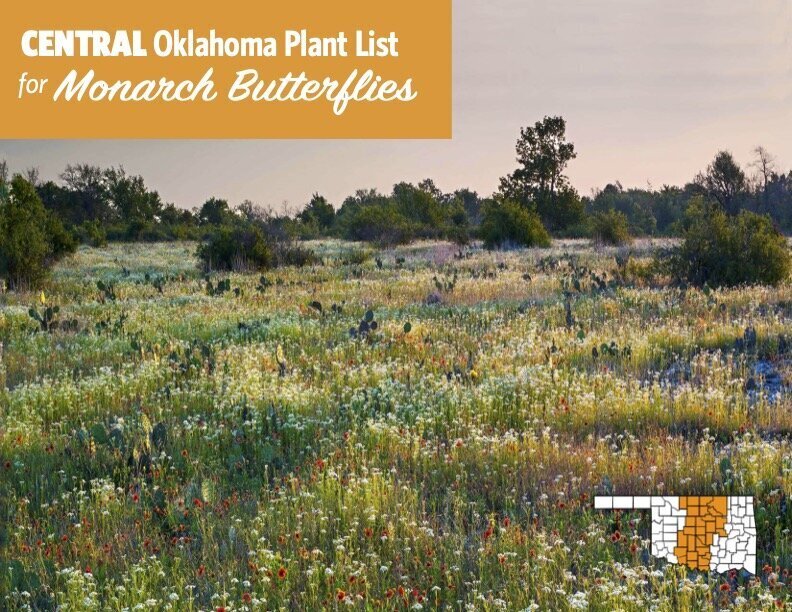 Plant Lists