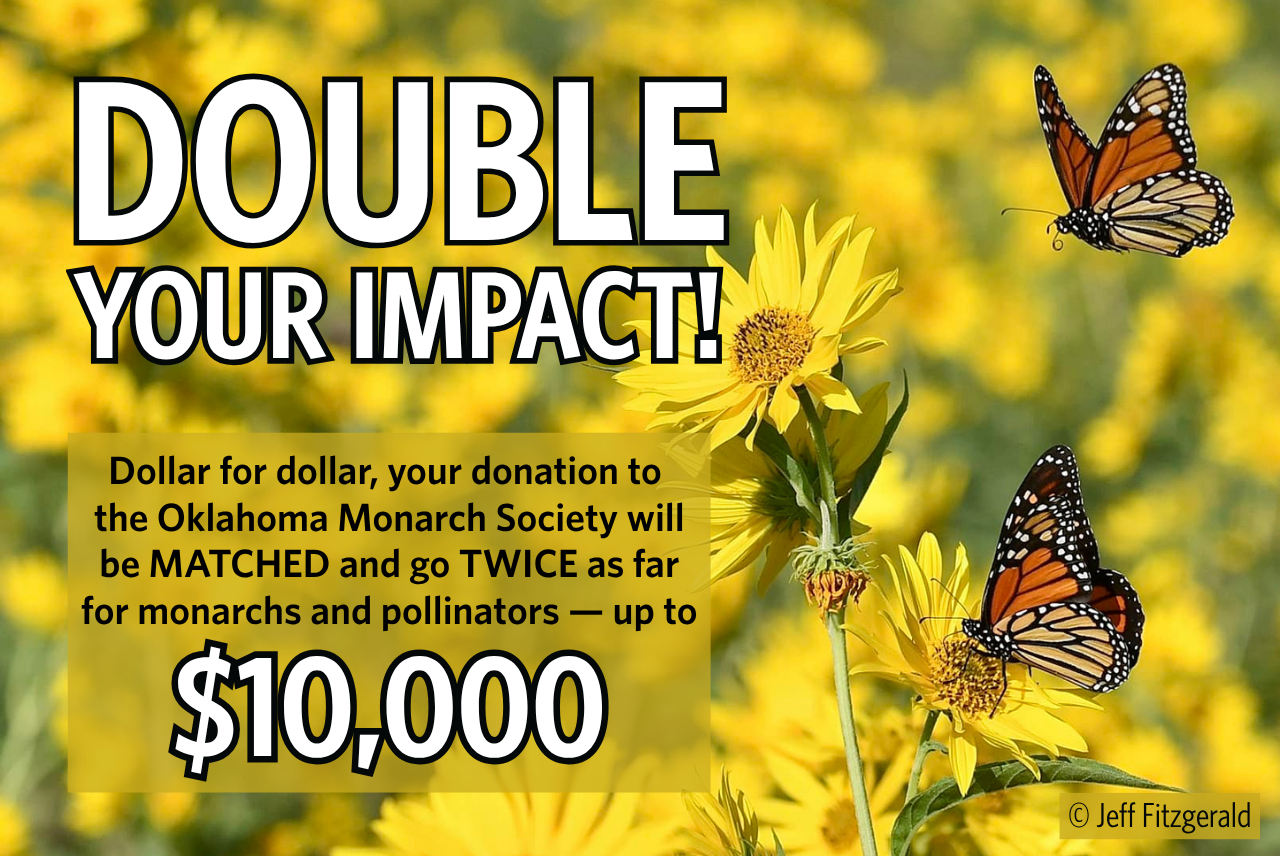 Double Your Impact!