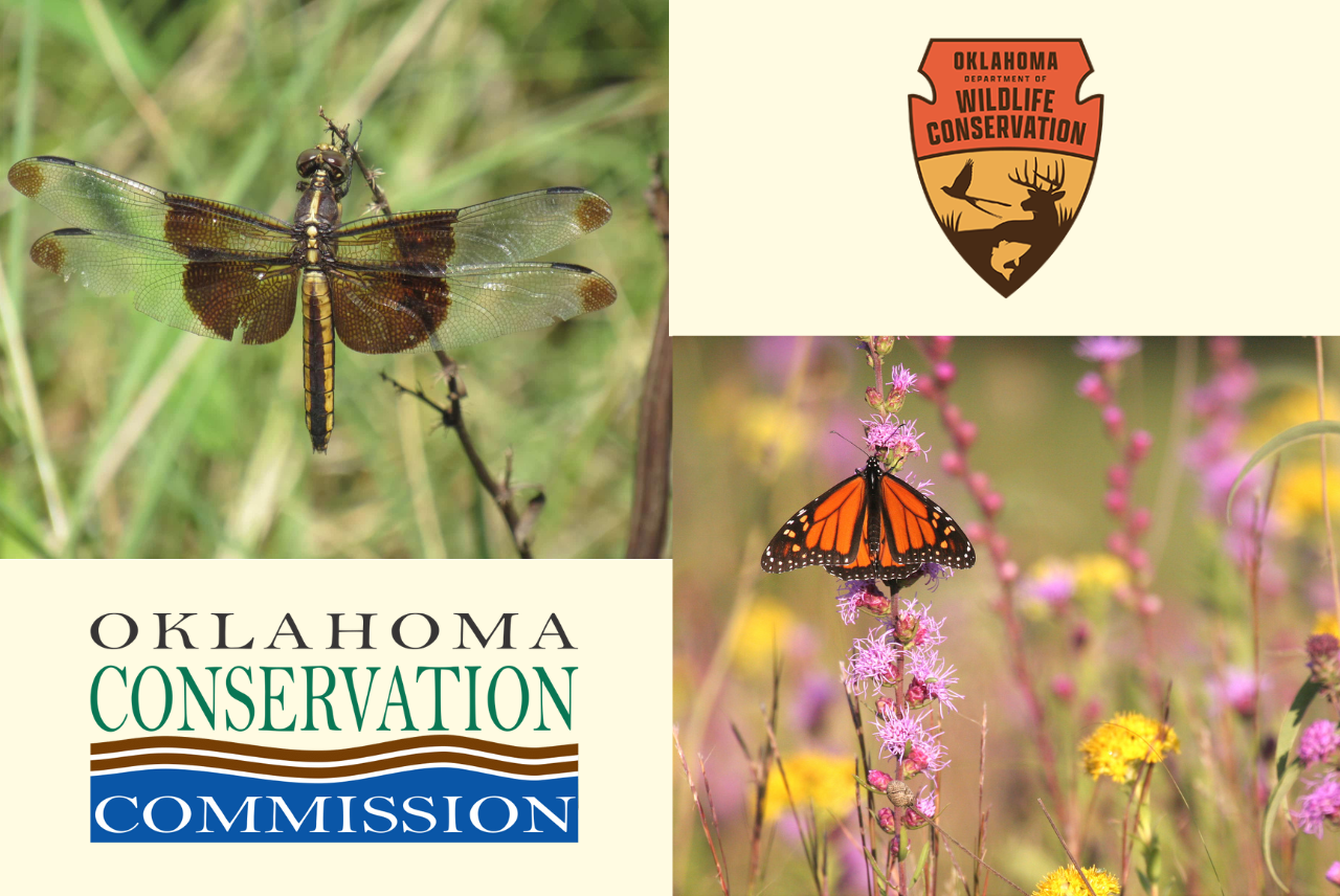 Grant and Program Opportunities