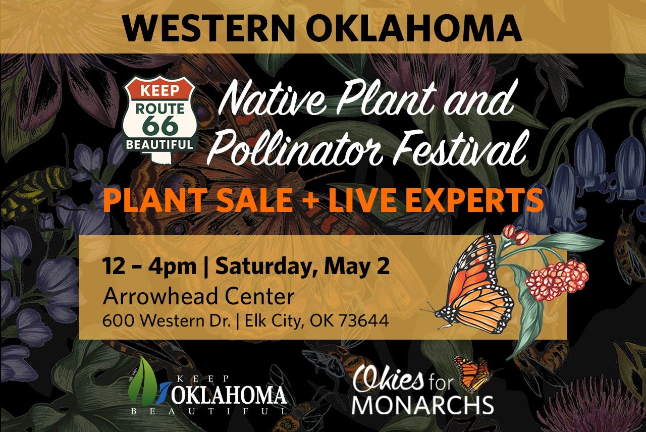 Native Plant and Pollinator Festival - Elk City