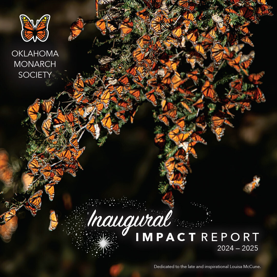 Impact Report