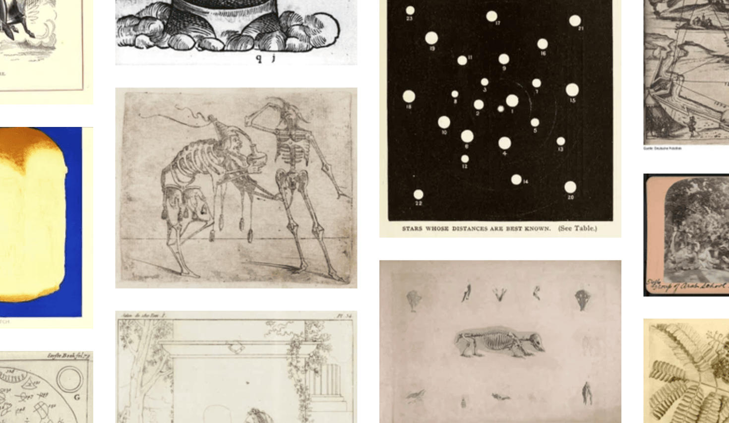 Public Domain Image Archive