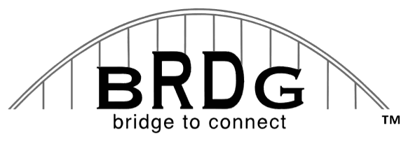 BRDG eNews logo - white