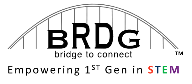 BRDG eNews logo