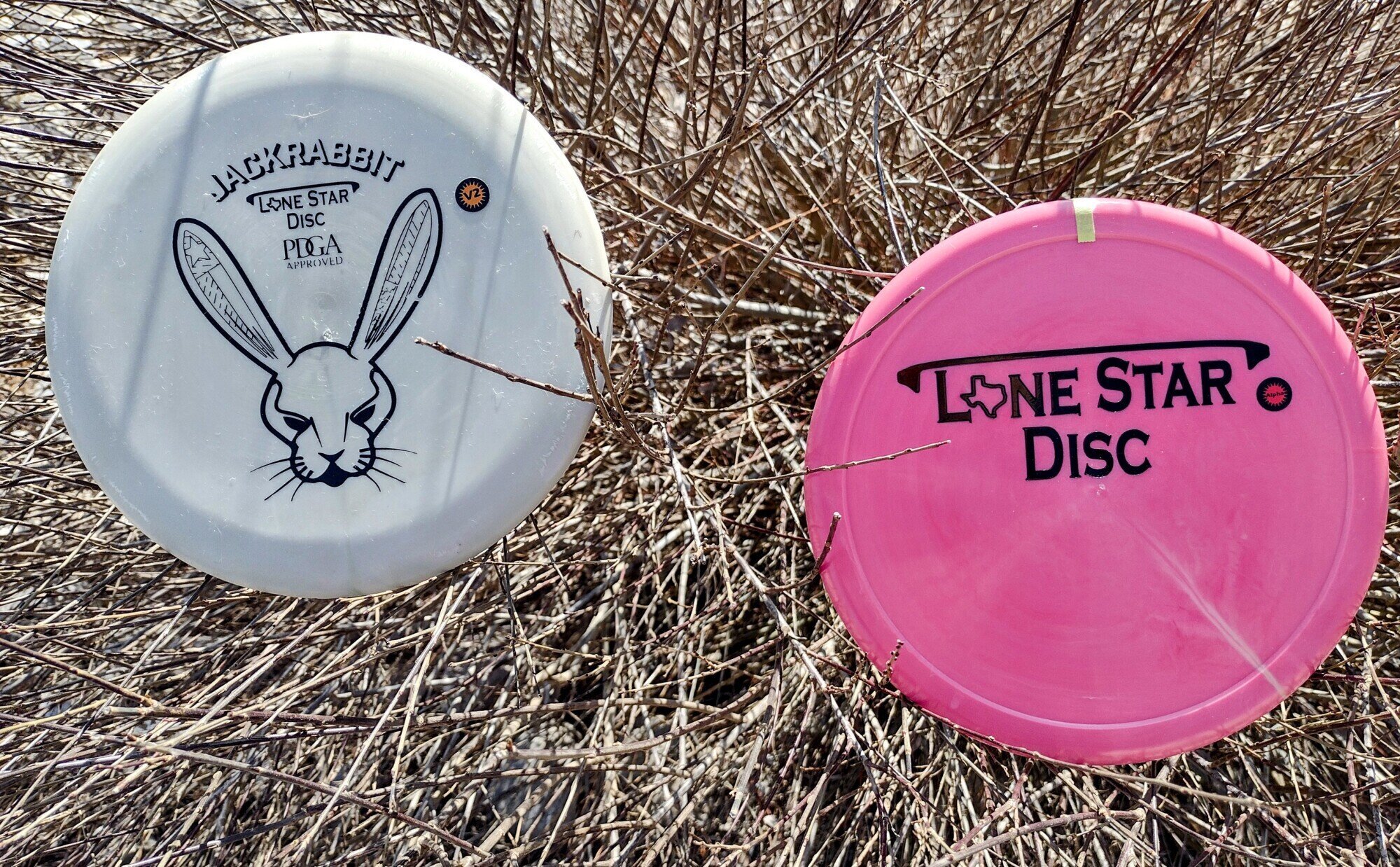 Exciting New and Disc Releases + 2 Teams are Taking