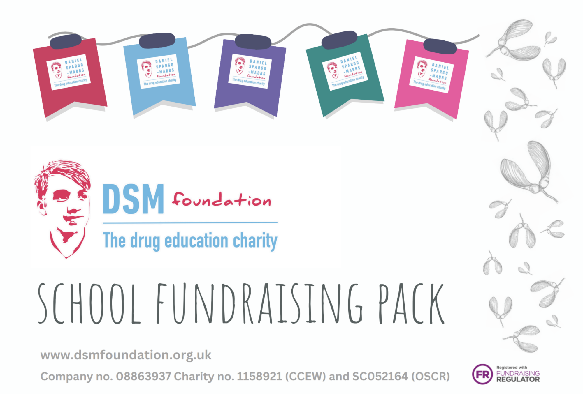 DSMF school fundraising pack